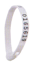 Super Strap
